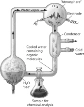 mc005-1.jpg