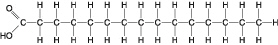 mc027-1.jpg