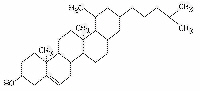 mc032-1.jpg