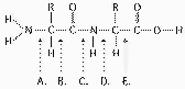 nar003-1.jpg