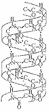 nar004-1.jpg