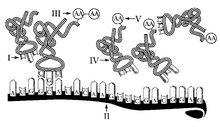 ch_11_test_files/i0030000.jpg