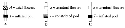 chapter_10_test_stu_files/i0230000.jpg
