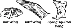 chapter_15_test_-_t_files/i0060000.jpg