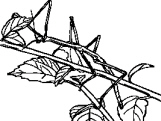 chapter_15_test_-_t_files/i0070000.jpg