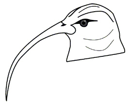 chapter_15_test_-_t_files/i0190000.jpg