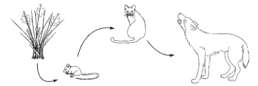 chapter_2_test_files/i0020000.jpg