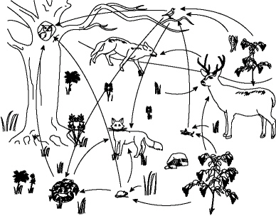 chapter_2_test_files/i0110000.jpg