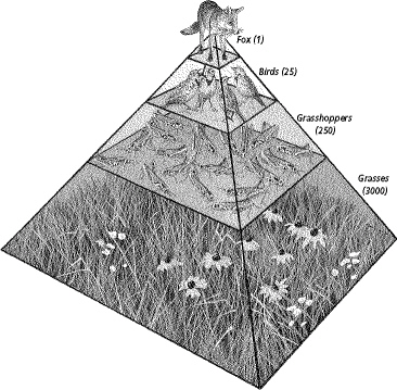 chapter_2_test_files/i0150000.jpg