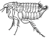 chapter_2_test_files/i0170000.jpg