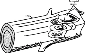 chapter_2_test_files/i0200000.jpg
