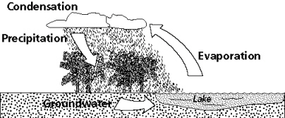 chapter_2_test_files/i0210000.jpg