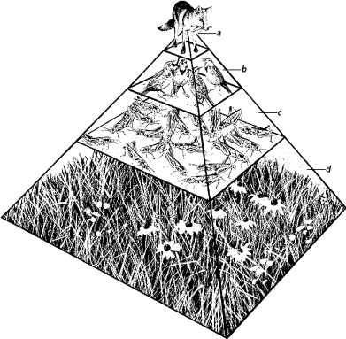 chapter_2_test_files/i0230000.jpg