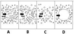 chapter_6_study_gui_files/i0250000.jpg