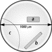 ch_7_study_question_files/i0200000.jpg