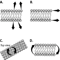 ch_7_study_question_files/i0280000.jpg