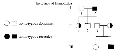 mendelian_genetics__files/i0060000.jpg