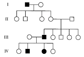 mendelian_genetics__files/i0100000.jpg